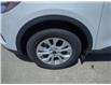 2025 Ford Escape Active (Stk: ES533) in Miramichi - Image 9 of 13