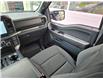 2024 Ford F-150 XLT (Stk: 24F8252) in North Vancouver - Image 17 of 22