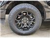 2024 Ford F-150 XLT (Stk: 24F8252) in North Vancouver - Image 19 of 22