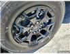 2025 Ford F-150 Lightning XLT (Stk: TS322) in Kamloops - Image 10 of 34