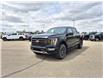 2023 Ford F-150 Tremor (Stk: U37141) in Hague - Image 4 of 15