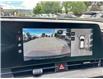 2025 Kia Sportage  (Stk: 9K2449) in Kamloops - Image 17 of 21