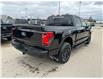 2025 Ford F-150 XLT (Stk: 25-0335) in Prince Albert - Image 17 of 28