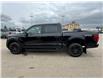 2025 Ford F-150 XLT (Stk: 25-0335) in Prince Albert - Image 20 of 28