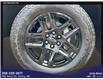 2025 Chevrolet Silverado 1500 Custom Trail Boss (Stk: 3925) in Unity - Image 17 of 17