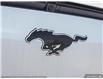 2025 Ford Mustang Mach-E Premium (Stk: MEP678) in Sarnia - Image 8 of 25