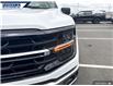 2025 Ford F-150 XLT (Stk: 27199) in Dartmouth - Image 8 of 24
