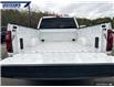 2025 Ford F-150 XLT (Stk: 27199) in Dartmouth - Image 11 of 24