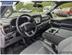2025 Ford F-150 XLT (Stk: 27199) in Dartmouth - Image 12 of 24