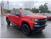 2021 Chevrolet Silverado 1500 Custom Trail Boss (Stk: P6997) in Brantford - Image 3 of 14