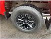 2021 Chevrolet Silverado 1500 Custom Trail Boss (Stk: P6997) in Brantford - Image 8 of 14