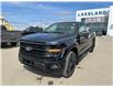 2025 Ford F-150 XLT (Stk: 25-0300) in Prince Albert - Image 13 of 28