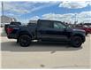 2025 Ford F-150 XLT (Stk: 25-0300) in Prince Albert - Image 16 of 28