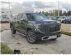 2025 GMC Sierra 1500 Denali Ultimate (Stk: 75398) in Red Deer - Image 1 of 23