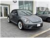 2019 Volkswagen Beetle Wolfsburg Edition (Stk: 7529T) in Mono - Image 2 of 17