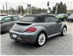 2019 Volkswagen Beetle Wolfsburg Edition (Stk: 7529T) in Mono - Image 3 of 17