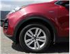 2017 Kia Sportage LX (Stk: 5925PK105) in Penticton - Image 2 of 21