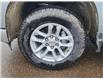 2025 Chevrolet Silverado 1500 LT (Stk: N250484) in Stony Plain - Image 5 of 49