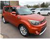 2019 Kia Soul EX (Stk: A-673066) in Moncton - Image 8 of 20