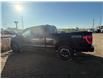 2022 Ford F-150 XLT (Stk: 24DFT197A) in Drayton Valley - Image 6 of 13