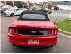 2018 Ford Mustang EcoBoost (Stk: A-160550) in Moncton - Image 5 of 20