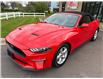 2018 Ford Mustang EcoBoost (Stk: A-160550) in Moncton - Image 3 of 20