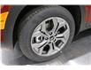 2025 Kia Seltos LX (Stk: 26201) in Edmonton - Image 8 of 19