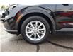2024 Honda CR-V EX-L (Stk: 2213023A) in Mississauga - Image 10 of 28