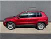 2014 Volkswagen Tiguan Comfortline (Stk: 3GA168) in Regina - Image 5 of 16