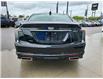 2025 Cadillac CT5 Sport (Stk: 0121723) in Newmarket - Image 6 of 21