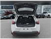 2024 Lexus UX 250h Base (Stk: 15104747A) in Richmond Hill - Image 8 of 26