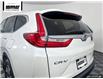 2018 Honda CR-V LX (Stk: 25M181A) in Chilliwack - Image 11 of 34