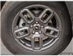 2025 Ford Bronco Sport Big Bend (Stk: XBP692) in Sarnia - Image 8 of 26