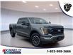 2022 Ford F-150  (Stk: DU8125) in Ottawa - Image 1 of 16