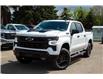 2025 Chevrolet Silverado 1500 LT Trail Boss (Stk: 50413-new) in Edmonton - Image 2 of 12