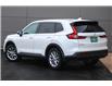 2024 Honda CR-V EX-L (Stk: TO04249) in London - Image 6 of 43