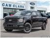 2025 Ford F-150 XLT (Stk: W3L38127) in Richmond - Image 1 of 24