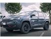 2019 Jeep Cherokee Trailhawk (Stk: LC2576) in Surrey - Image 4 of 18