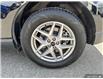 2023 Ford Edge SEL (Stk: 3023) in Quesnel - Image 6 of 22