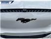 2025 Ford Mustang Mach-E Select (Stk: 27244) in Dartmouth - Image 9 of 24