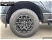 2025 Ford F-150 XLT (Stk: 5F116859) in Brantford - Image 6 of 23