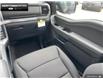 2025 Ford F-150 XLT (Stk: 5F116859) in Brantford - Image 23 of 23