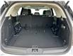 2025 Ford Explorer Active (Stk: 12101) in Golden - Image 13 of 17