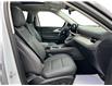 2025 Ford Explorer Active (Stk: 12101) in Golden - Image 15 of 17