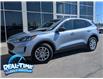 2022 Ford Escape SE (Stk: H25121A) in High River - Image 1 of 17