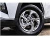 2024 Hyundai Tucson Preferred (Stk: PW0121) in Edmonton - Image 6 of 25