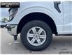 2025 Ford F-150 XL (Stk: 5F133670) in Brantford - Image 6 of 23