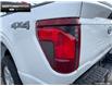 2025 Ford F-150 XL (Stk: 5F133670) in Brantford - Image 9 of 23