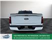 2025 Ford F-150 XLT (Stk: FS91533A) in Windsor - Image 6 of 26