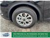 2025 Ford Escape Active (Stk: ES13469) in Windsor - Image 2 of 28